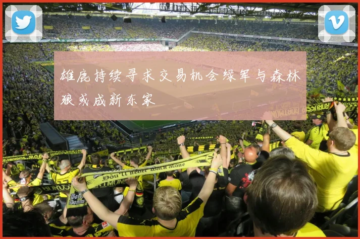 雄鹿持续寻求交易机会绿军与森林狼或成新东家